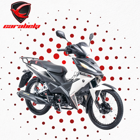 2025 HUNTER110 110cc