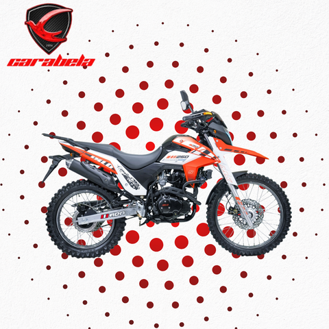 2025 MONTANA 250cc