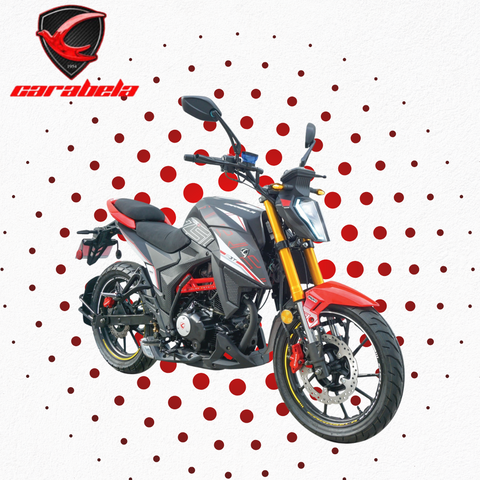 2025 R250Z 250cc