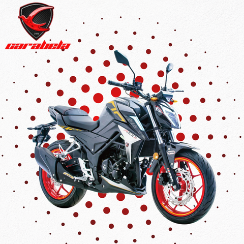 2025 R300Z 300cc