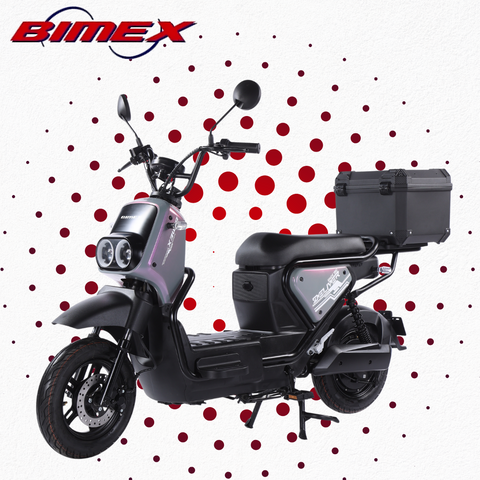 MOTOBICI PRO DELIVER