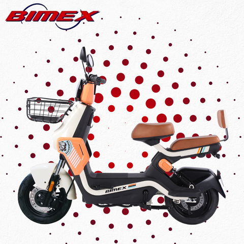 MOTOBICI ROADMASTER