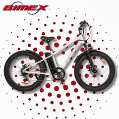 BICICLETA ELECTRICA BIMEX E26NS0-1 $25,000.00