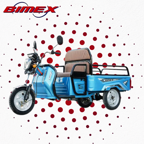 TRICARGA motor 700W