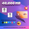 Xel-40 x 1 año